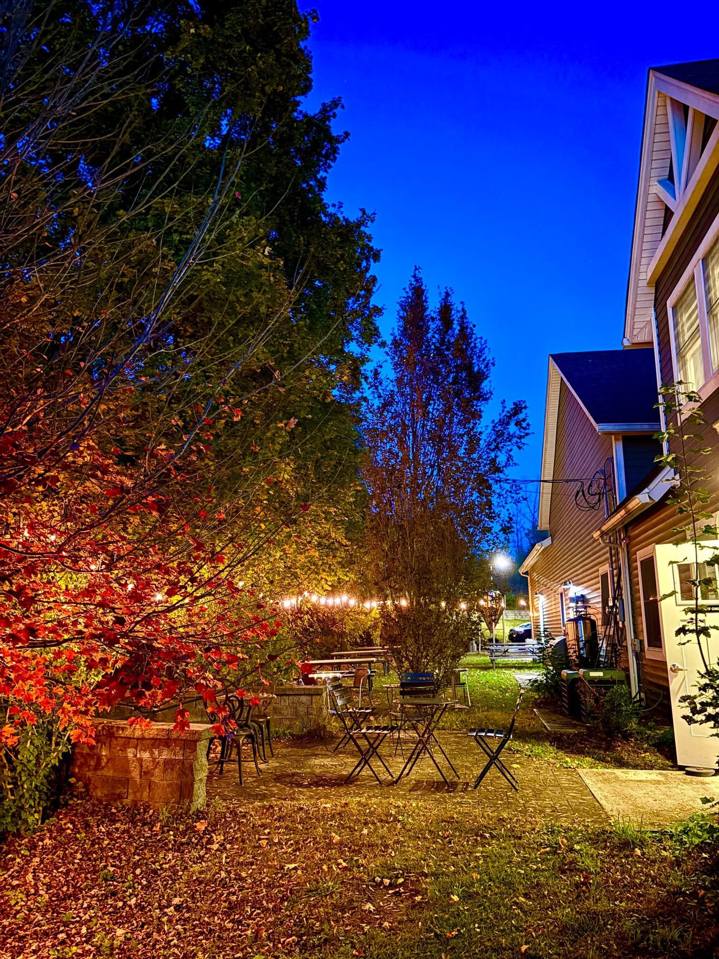 The side patio at night — string lights and café tables under the maples